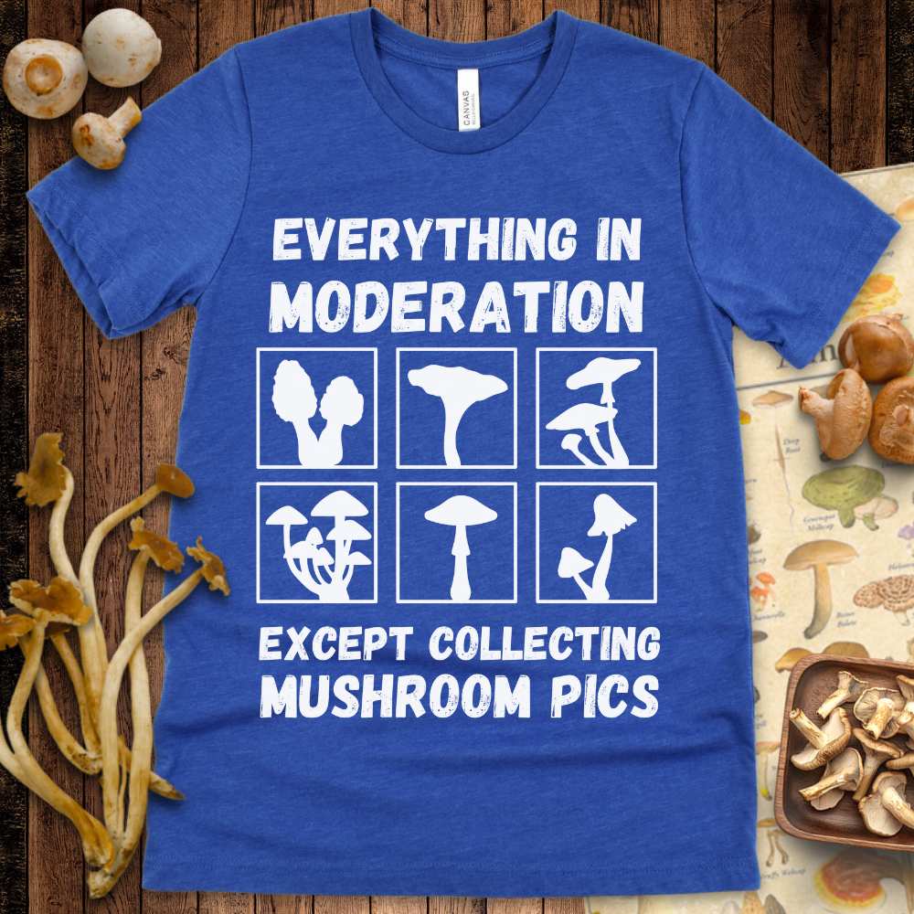 Mushroom Pics Tee