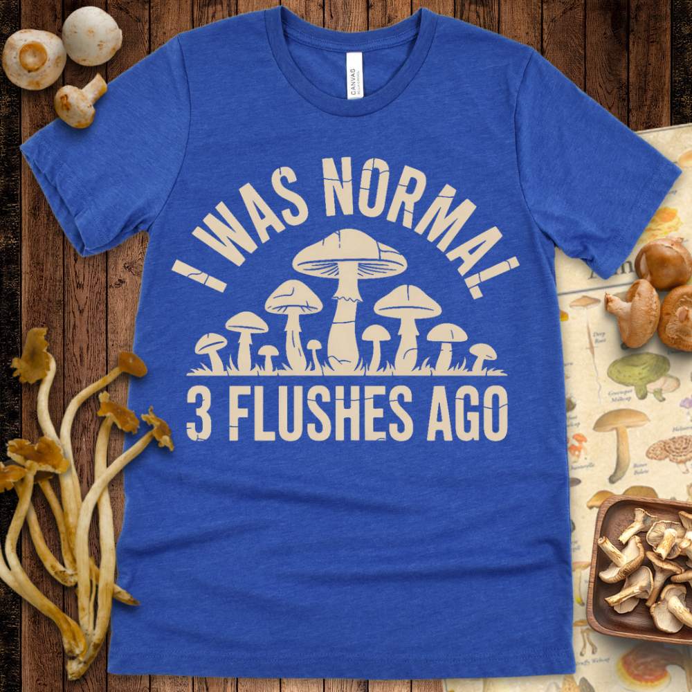 Normal Flushes Tee