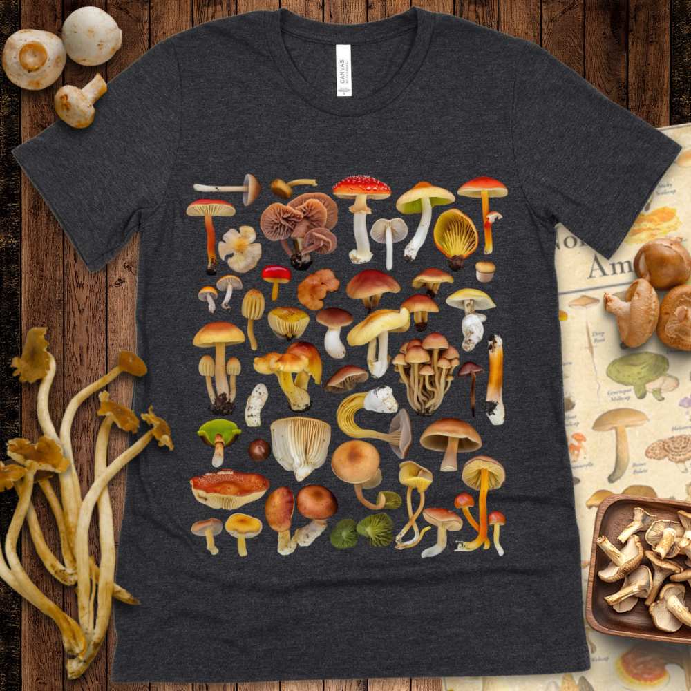 MycoMedly Collage Tee