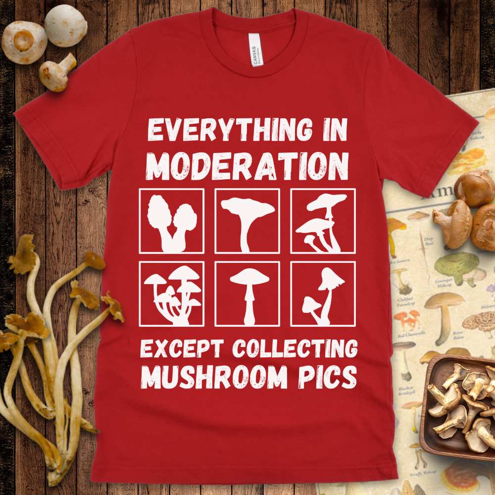 Mushroom Pics Tee