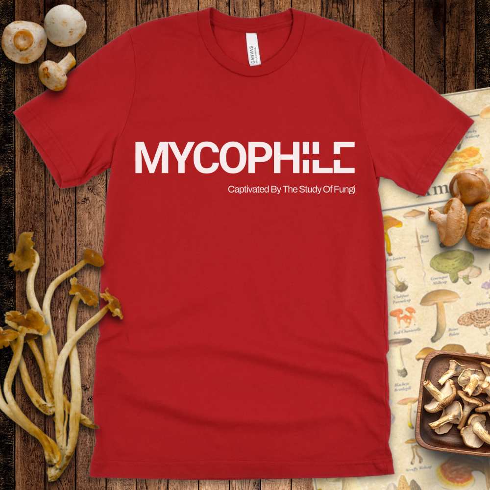 Mycophile Study Of Fungi Tee