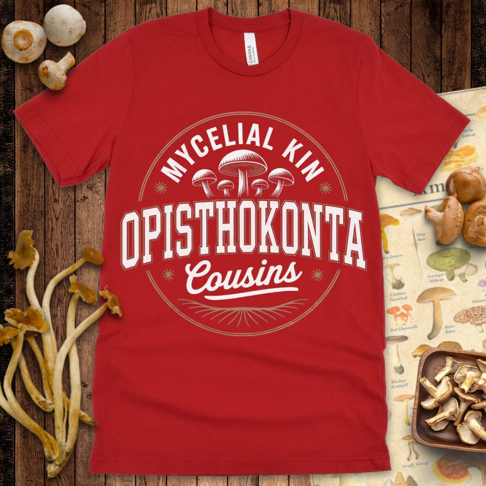 Kinship Roots Tee