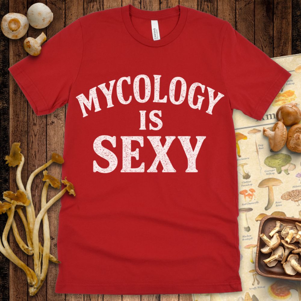 Sexy Science Tee