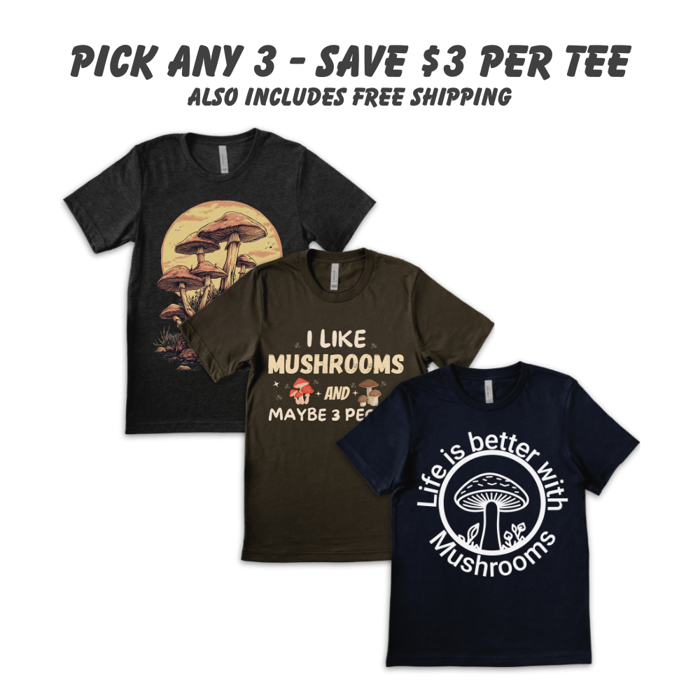 Bundle 2