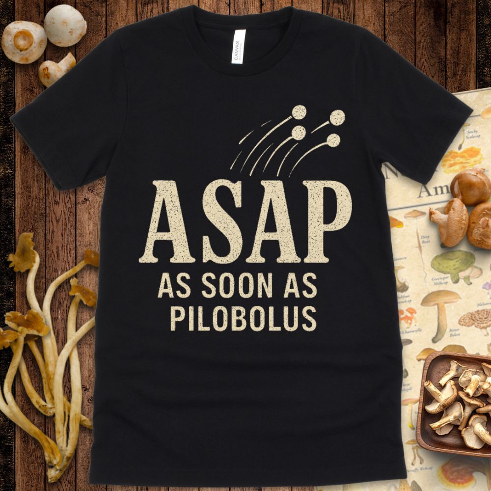 Pilobolus Launch Tee