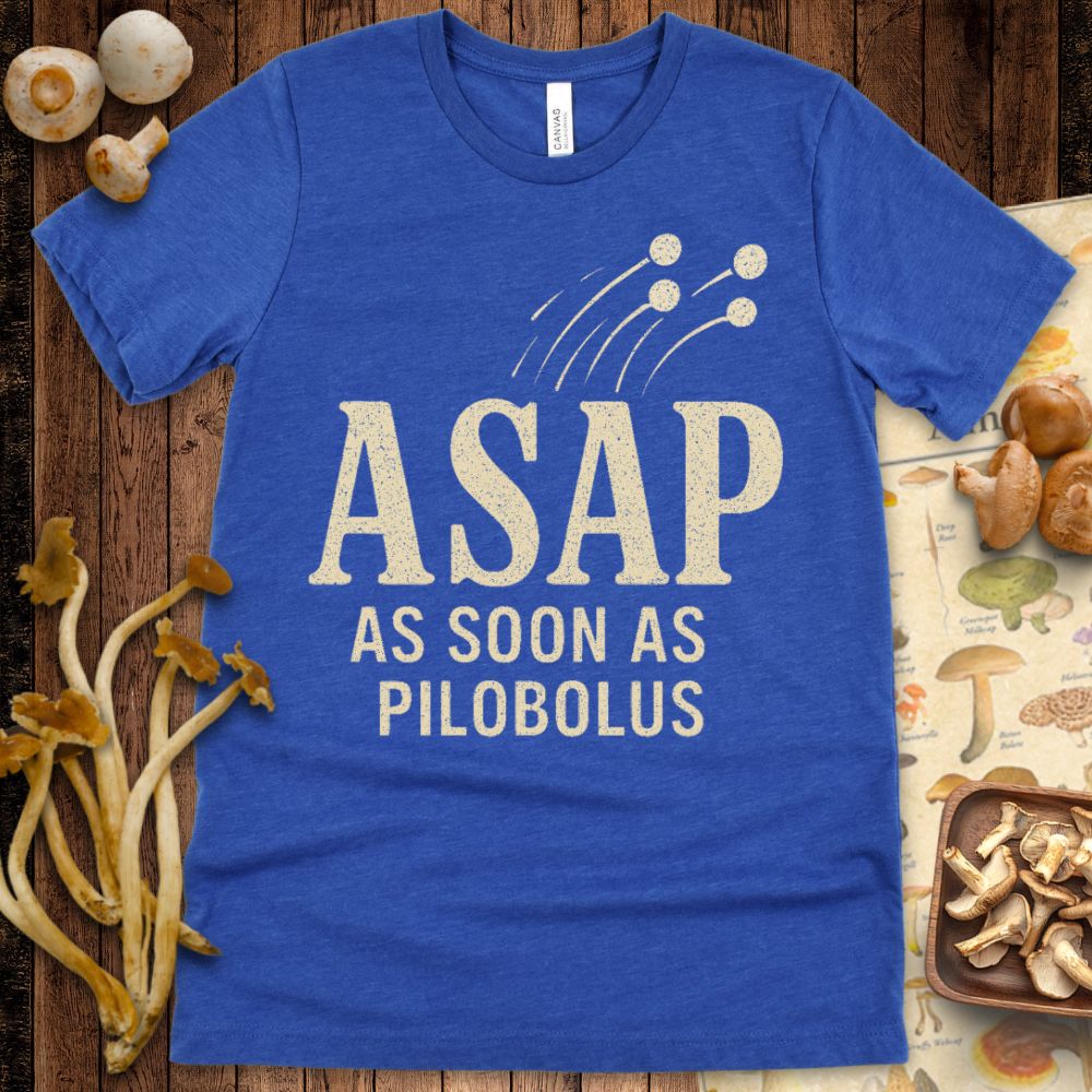 Pilobolus Launch Tee