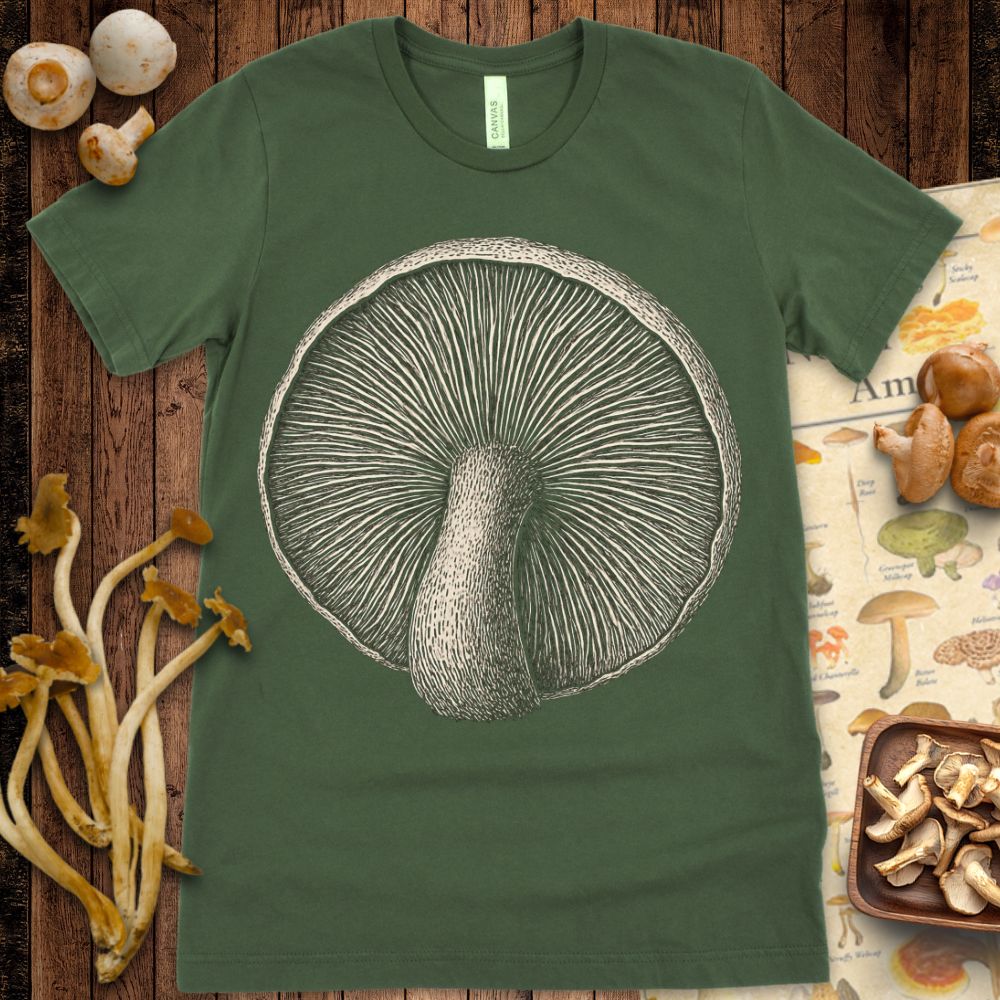 Detailed botanical illustration of a mushroom viewed from below, showing gills and stem on a textured gray background