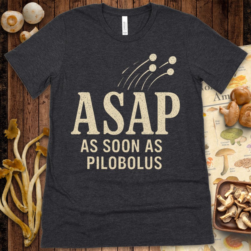 Pilobolus Launch Tee
