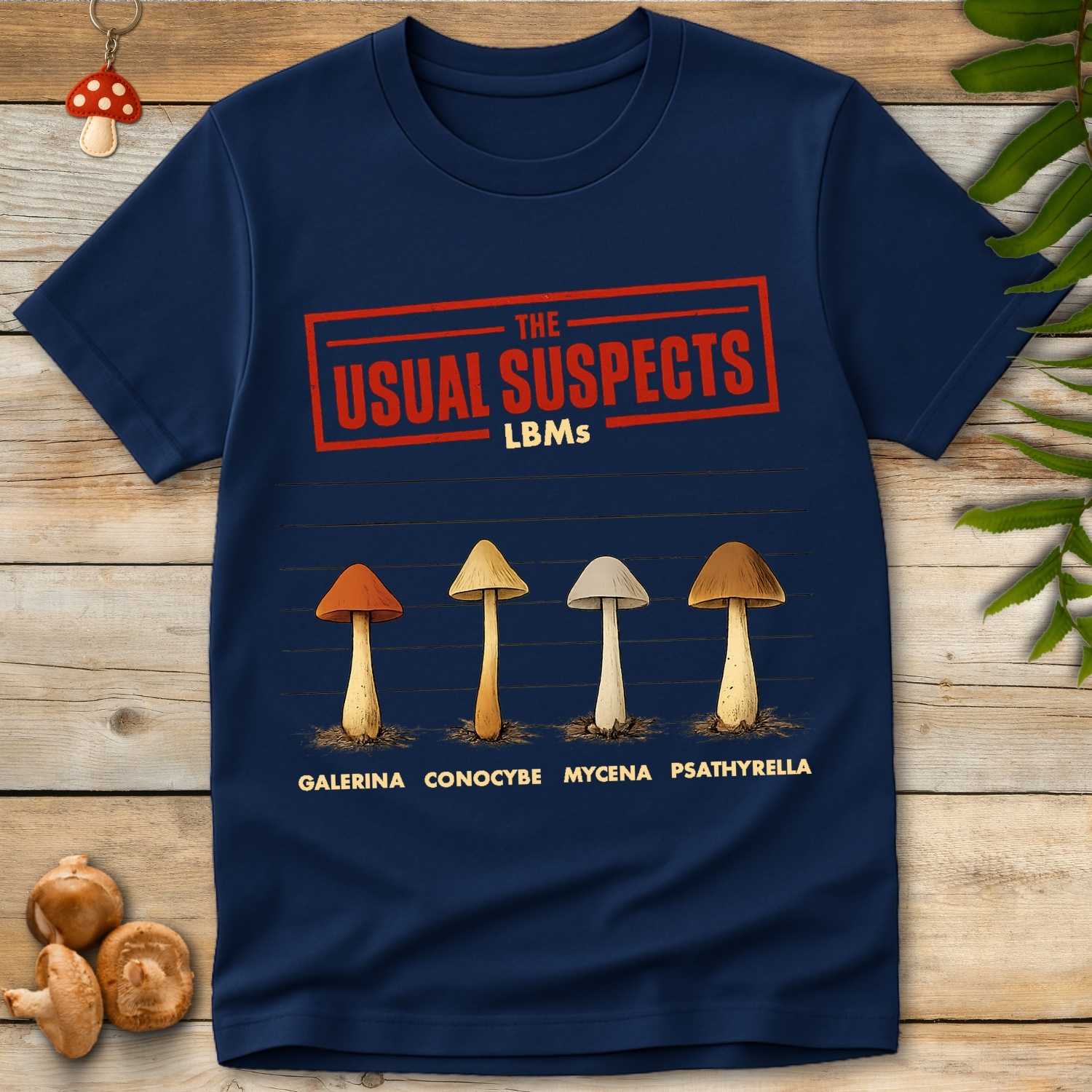 Illustration of four little brown mushrooms labeled Galerina, Conocybe, Mycena, and Psathyrella in a mugshot lineup under the title “The Usual Suspects – LBMs”