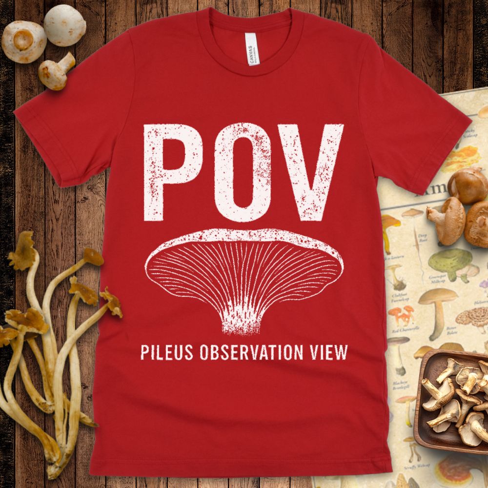 Pileus Observation Tee