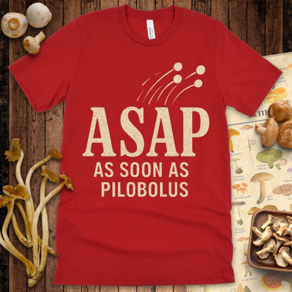 Pilobolus Launch Tee